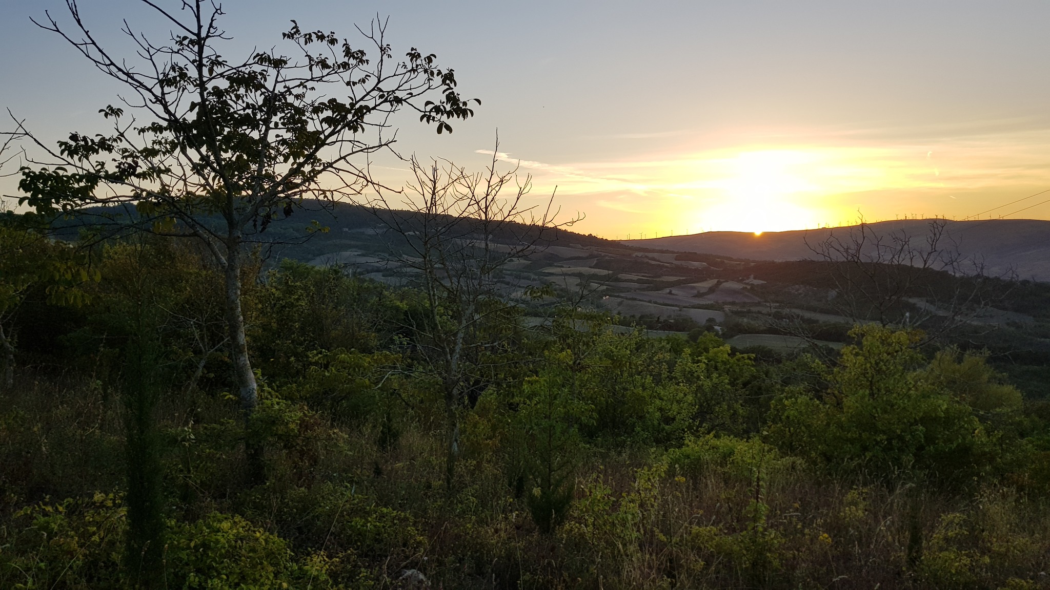 Noccioleto