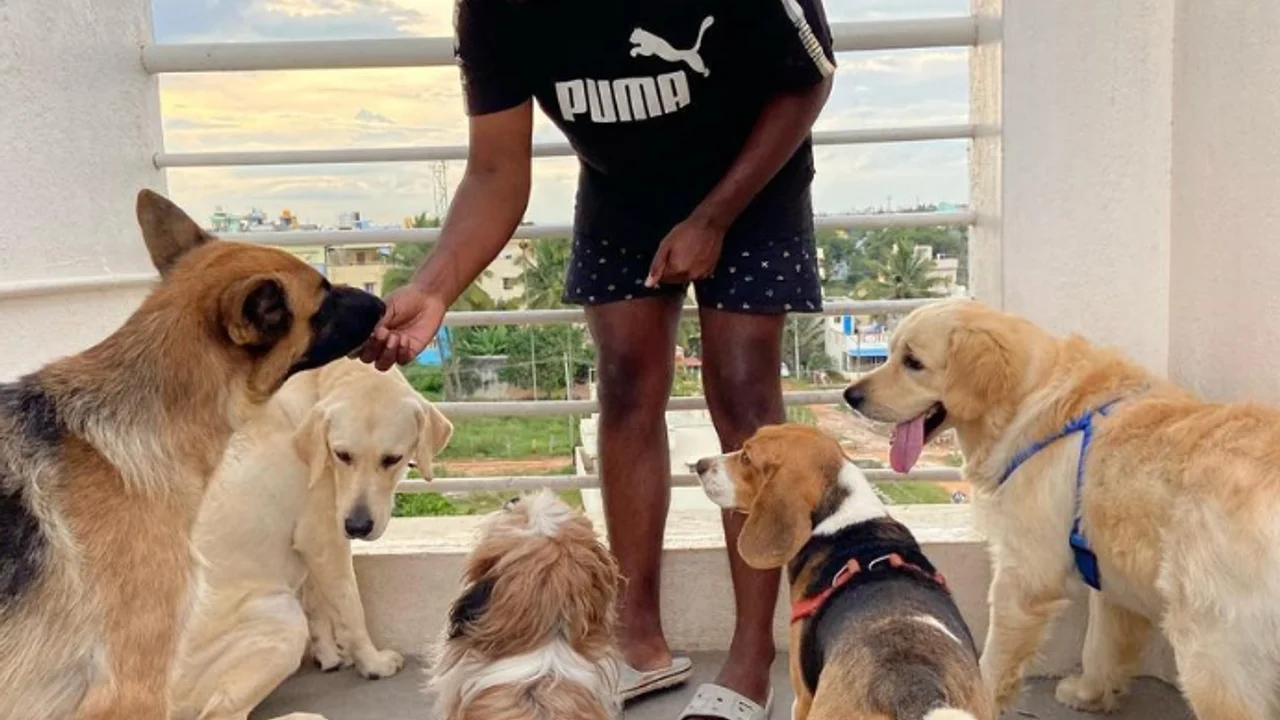 Adopting a dog: a good deed, but is it “ecological”?