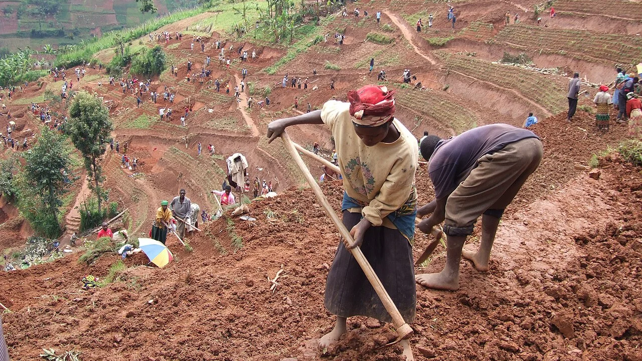 Soil erosion: causes, impacts and how to prevent it
