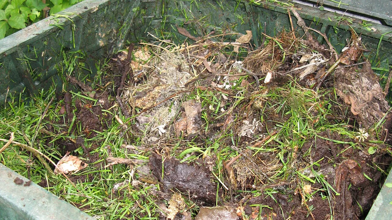 Compost domestico per principianti: meno rifiuti, suolo vivo in balcone o in giardino